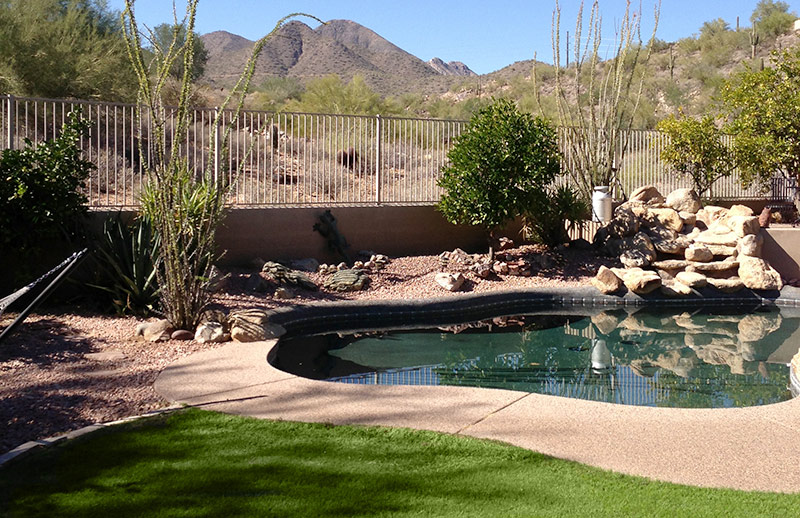 Pool in Fountain Hills