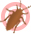 Roach Guide